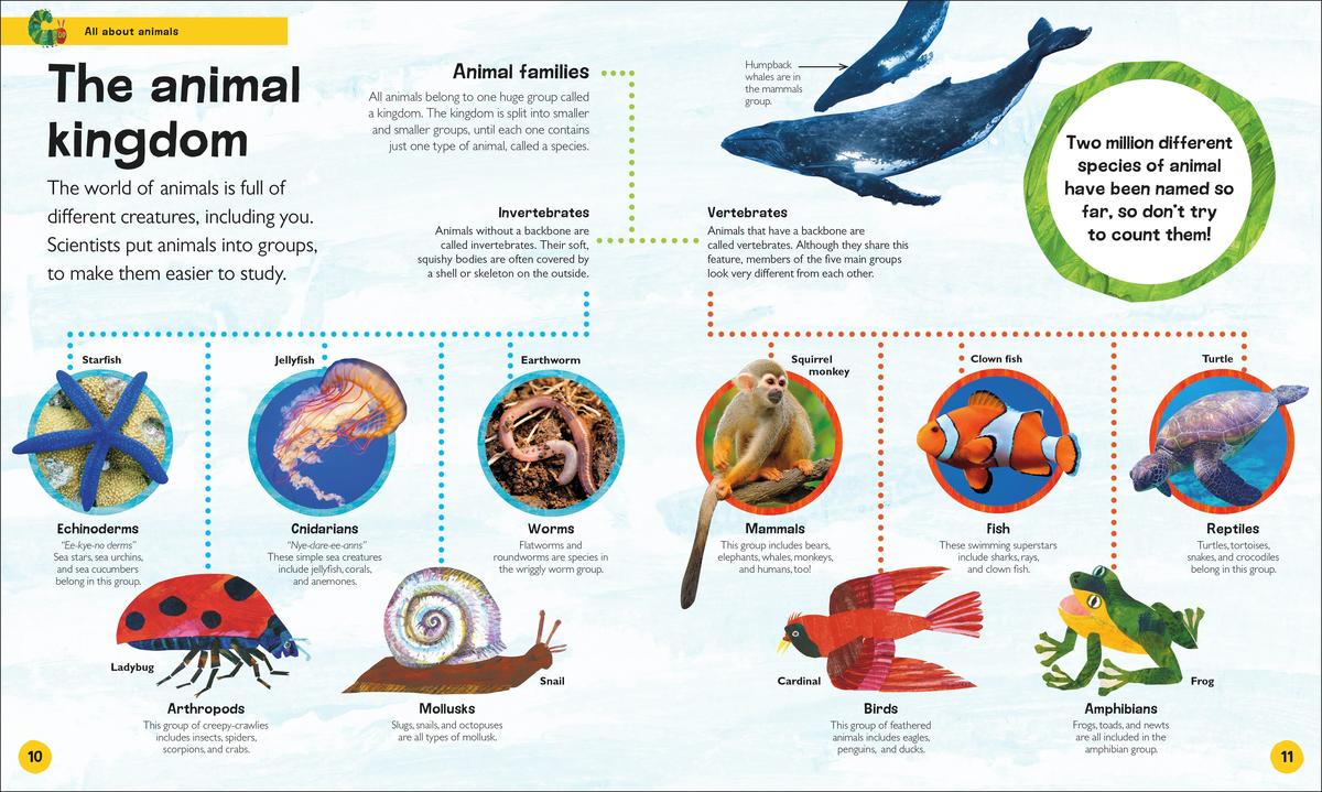 The Very Hungry Caterpillar's Very First Animal Encyclopedia - Image 2