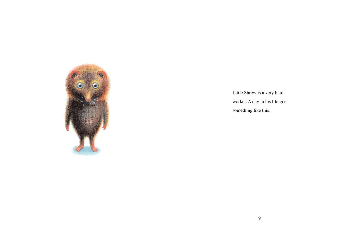 Little Shrew - Image 3