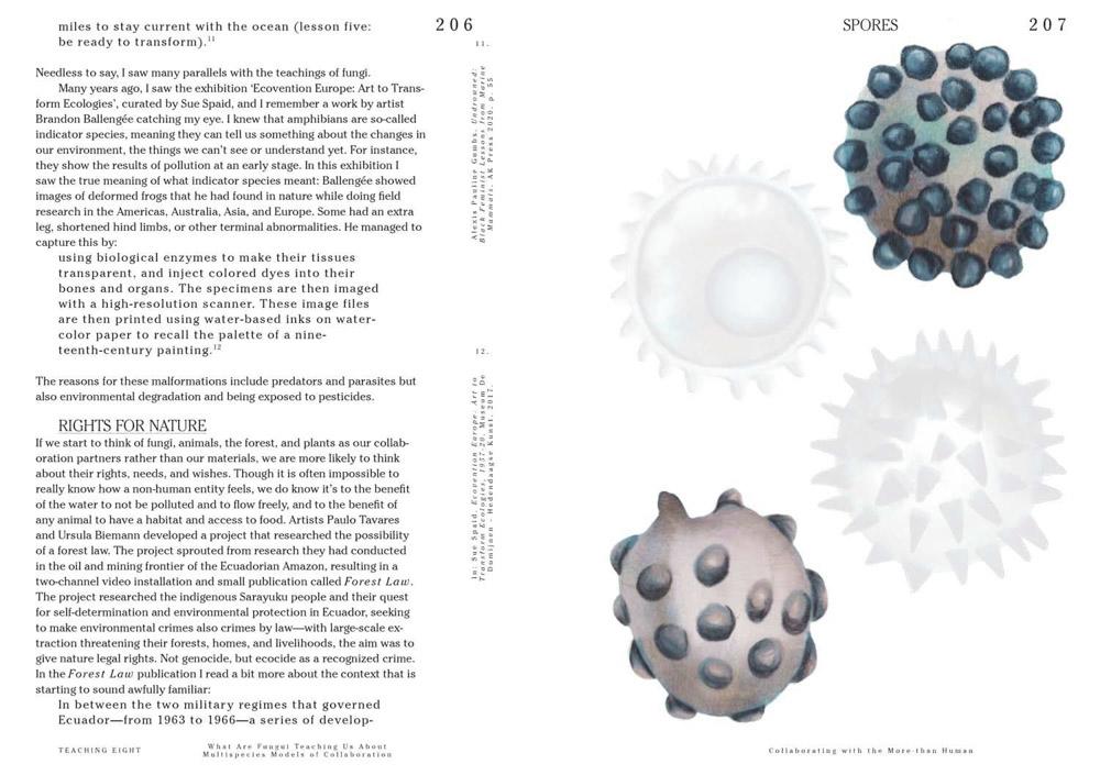 Let's Become Fungal! - Image 5