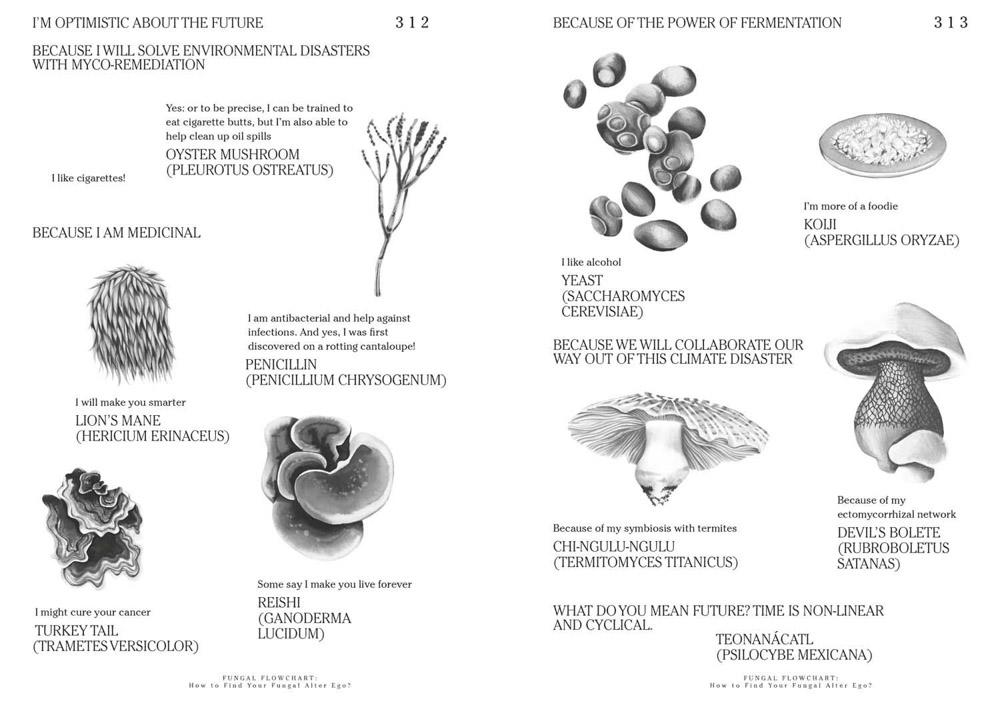 Let's Become Fungal! - Image 6