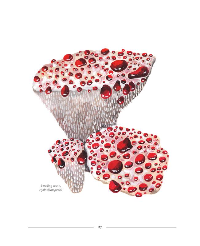 Mushrooming - Image 2