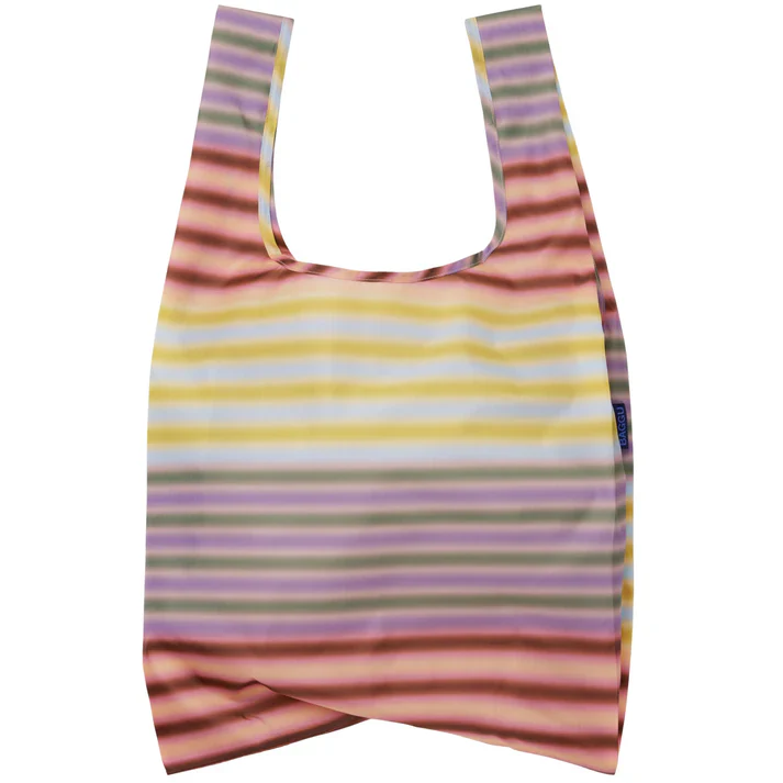 Standard Baggu: Gradient Stripe Multi