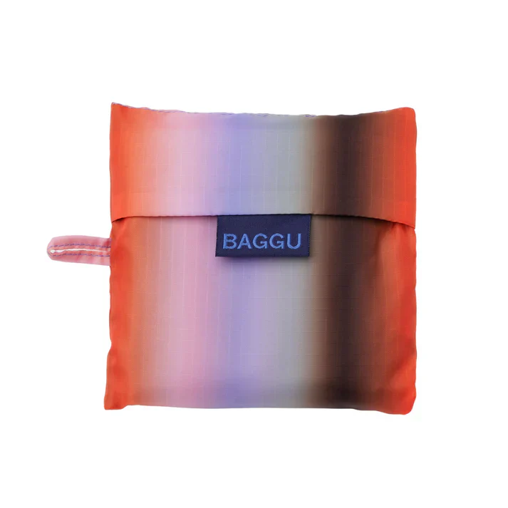 Standard Baggu: Gradient Stripe Poppy & Lilac - Image 3